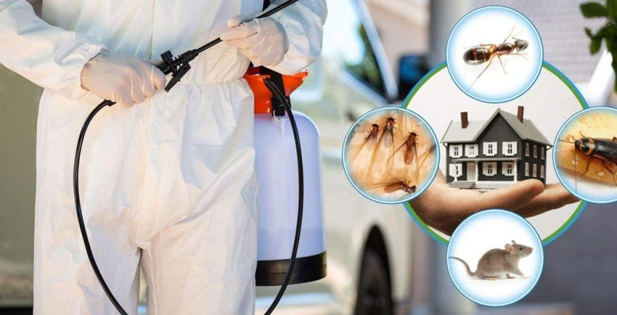 Yeşilyurt Böcek İlaçlama