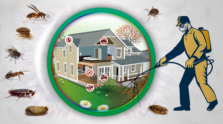 Yeşilyurt Böcek İlaçlama