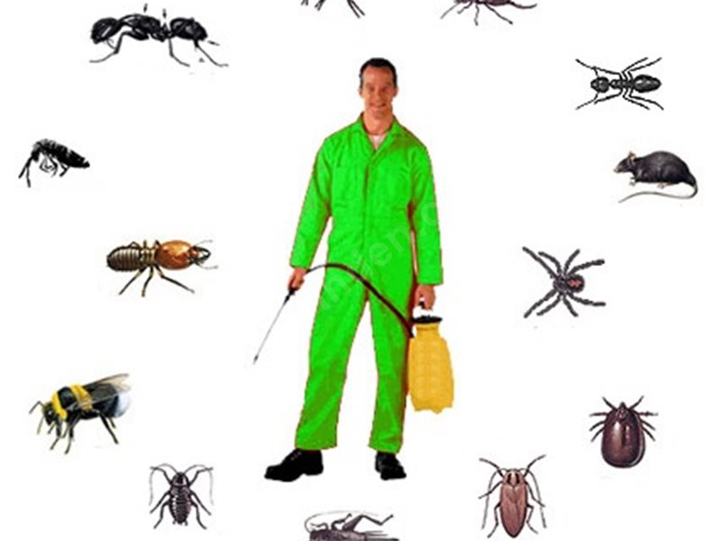 Yeşilyurt Böcek İlaçlama